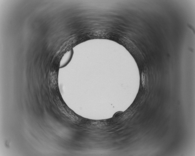 X0000102471107200809051326