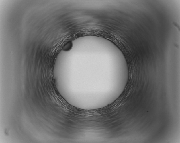 X0000102471108200809051326