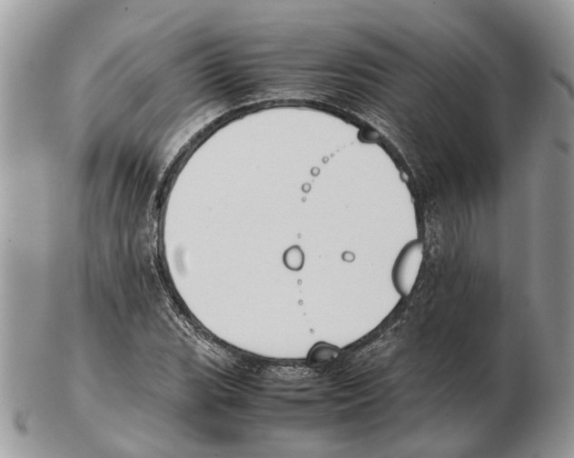 X0000102471119200809051327
