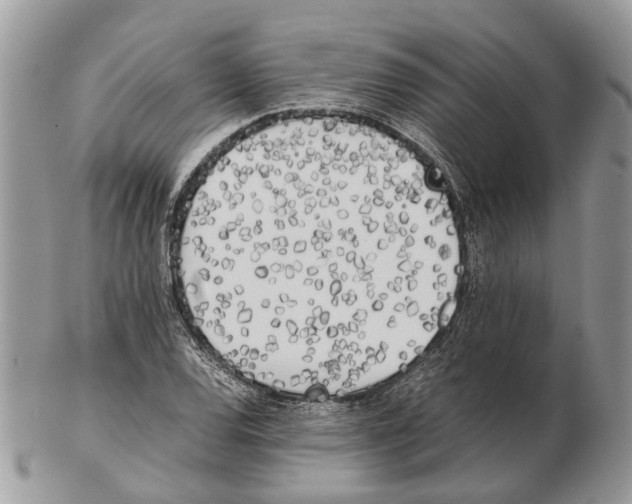 X0000102471120200809051327