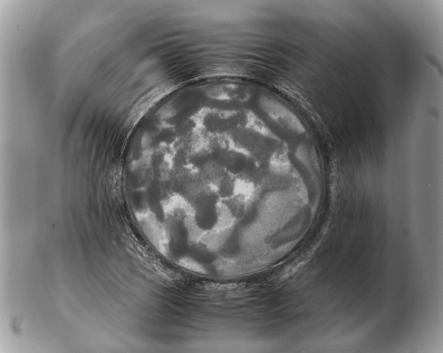 X0000102471121200809051327