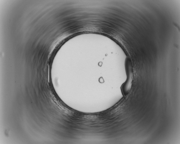 X0000102471123200809051327