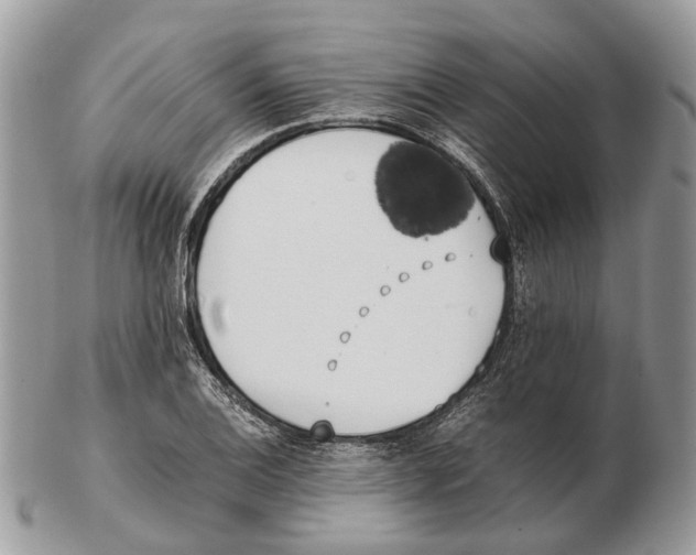 X0000102471124200809051327
