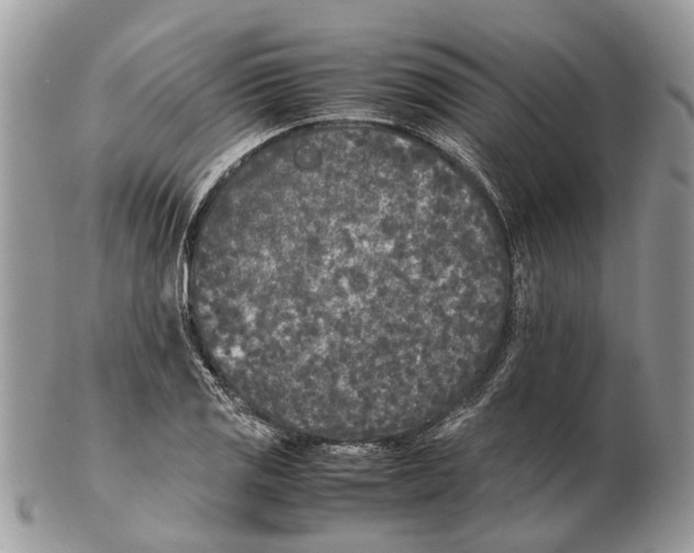 X0000102471125200809051327