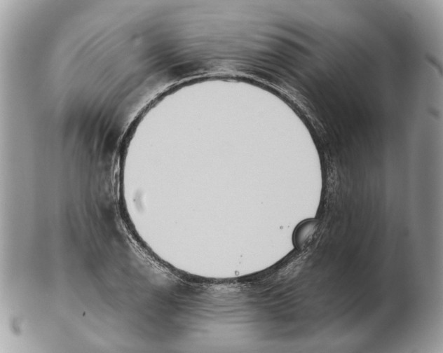 X0000102471126200809051327
