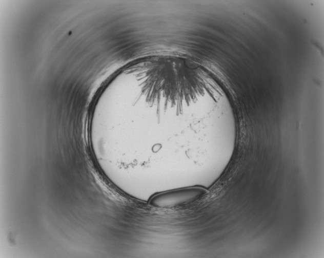X0000102471128200809051327