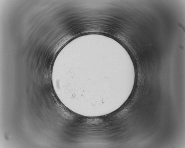 X0000102471129200809051327
