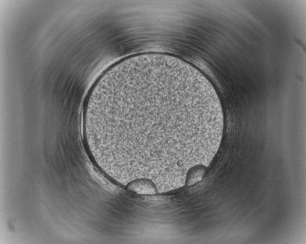 X0000102471132200809051327