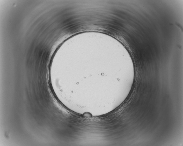 X0000102471136200809051327