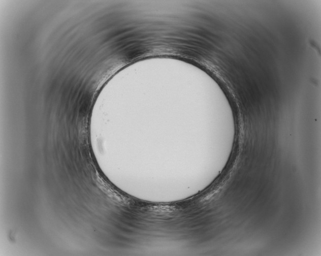 X0000102471137200809051327