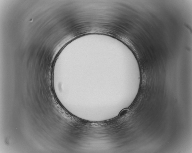 X0000102471138200809051327
