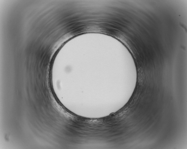 X0000102471139200809051327