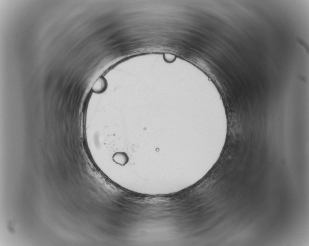 X0000102471140200809051327