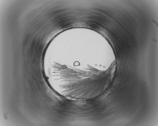 X0000102471141200809051327