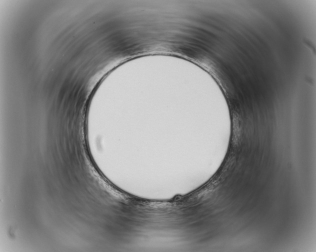 X0000102471142200809051327