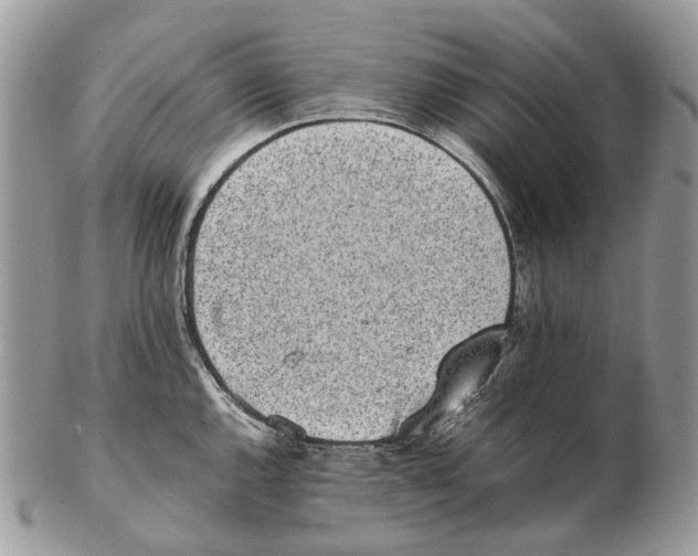 X0000102471144200809051327