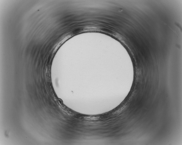 X0000102471145200809051327