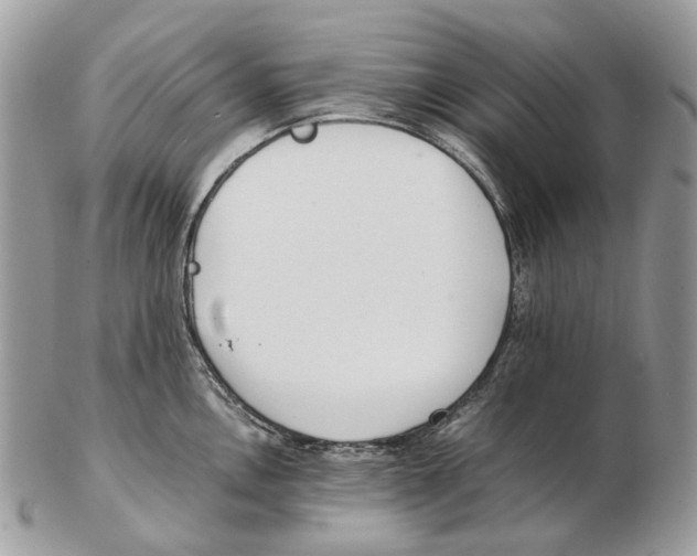 X0000102471146200809051327
