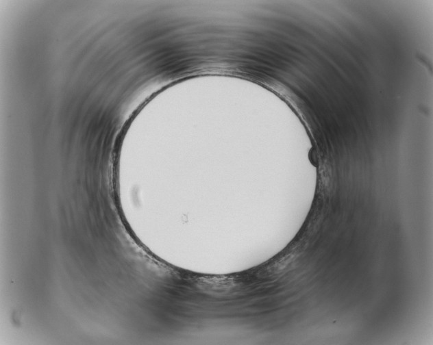 X0000102471147200809051327