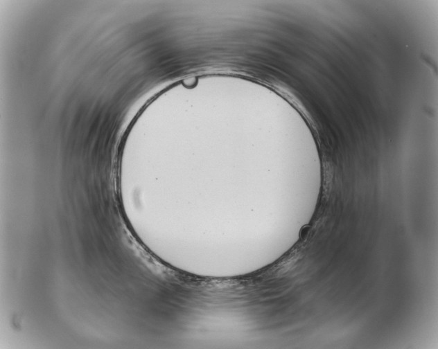 X0000102471148200809051327