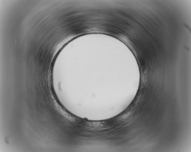 X0000102471149200809051327