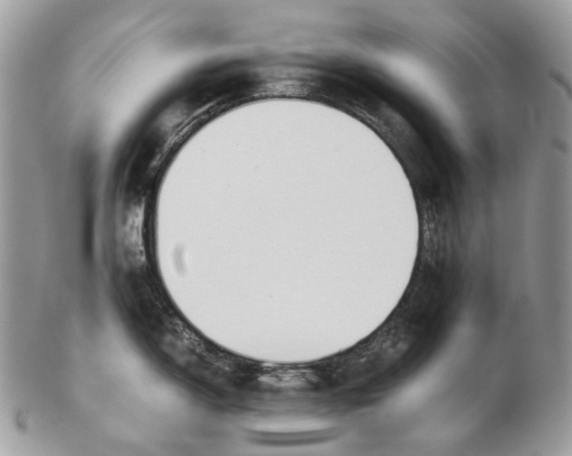X0000102471150200809051327