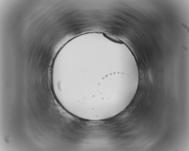X0000102471151200809051327