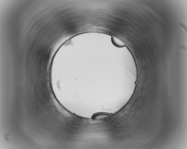X0000102471152200809051327