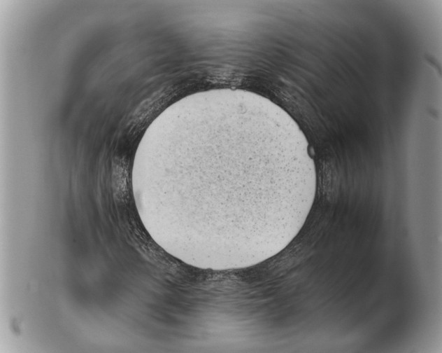 X0000102471154200809051326