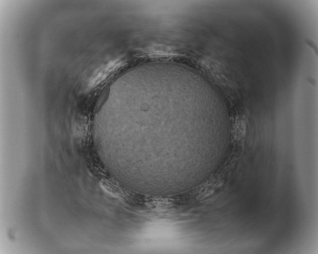 X0000102471157200809051326