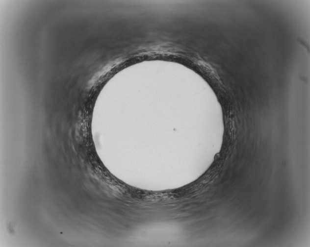 X0000102471159200809051326