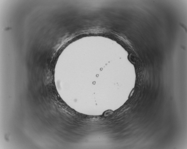 X0000102471160200809051326