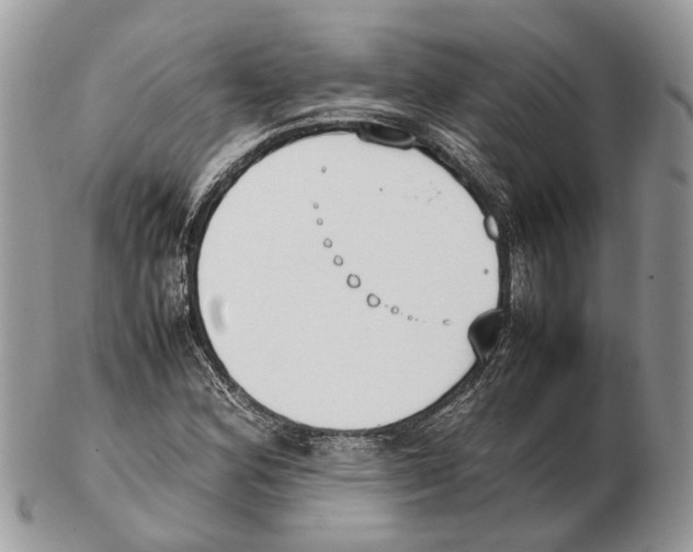 X0000102471164200809051326