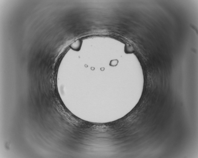 X0000102471168200809051326