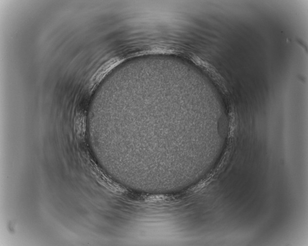 X0000102471169200809051326