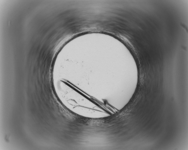 X0000102471183200809051326