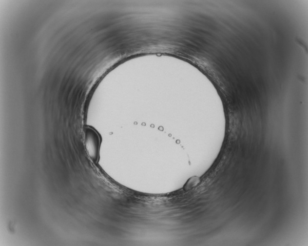 X0000102471184200809051326
