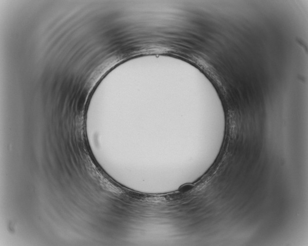 X0000102471186200809051326