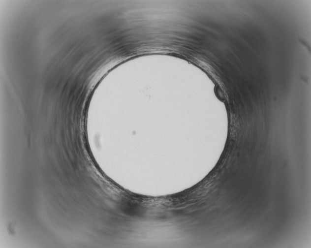 X0000102471187200809051326