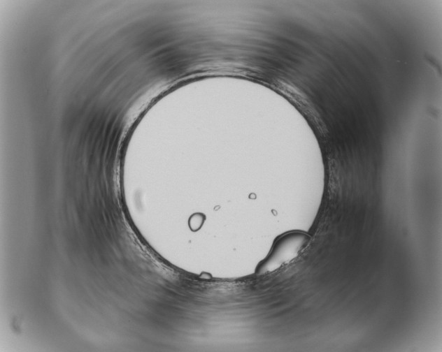 X0000102471188200809051326