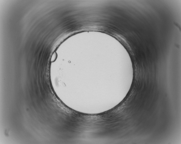 X0000102471192200809051326
