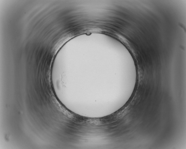 X0000102471194200809051326