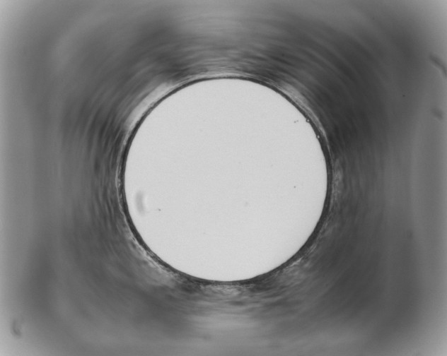 X0000102471197200809051326