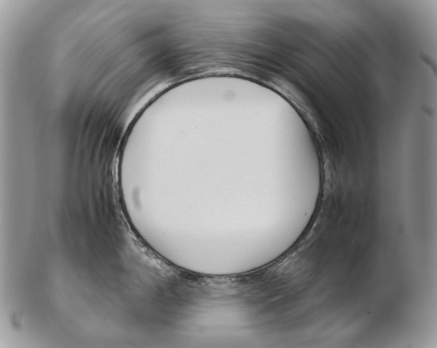 X0000102471198200809051326