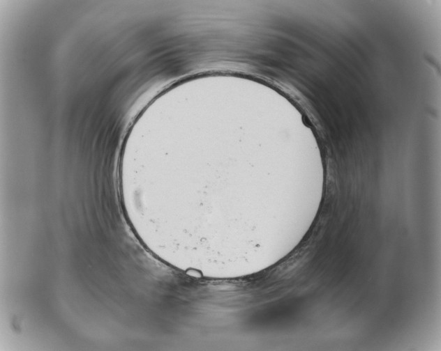 X0000102471199200809051326