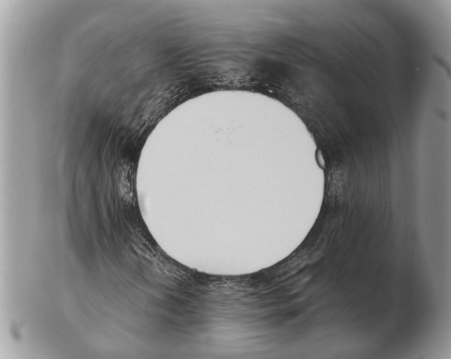 X0000102471202200809051325