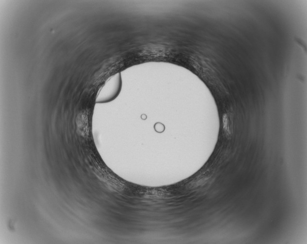 X0000102471203200809051325