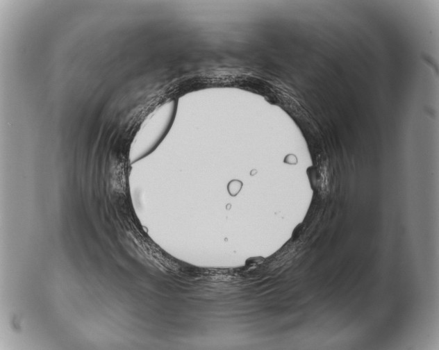 X0000102471204200809051325
