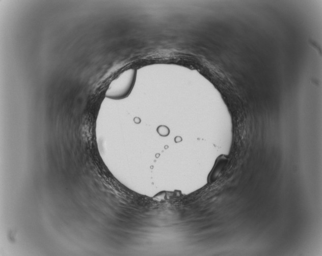 X0000102471206200809051325