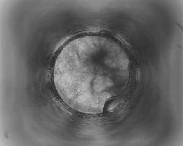 X0000102471208200809051325